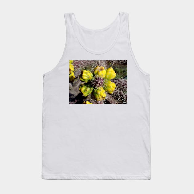 Sedona Study 11 Tank Top by bobmeyers